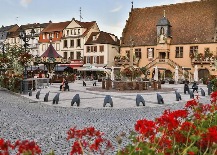 Studio Cosy A Molsheim Calme, Centre-Ville Et Acces Strasbourg