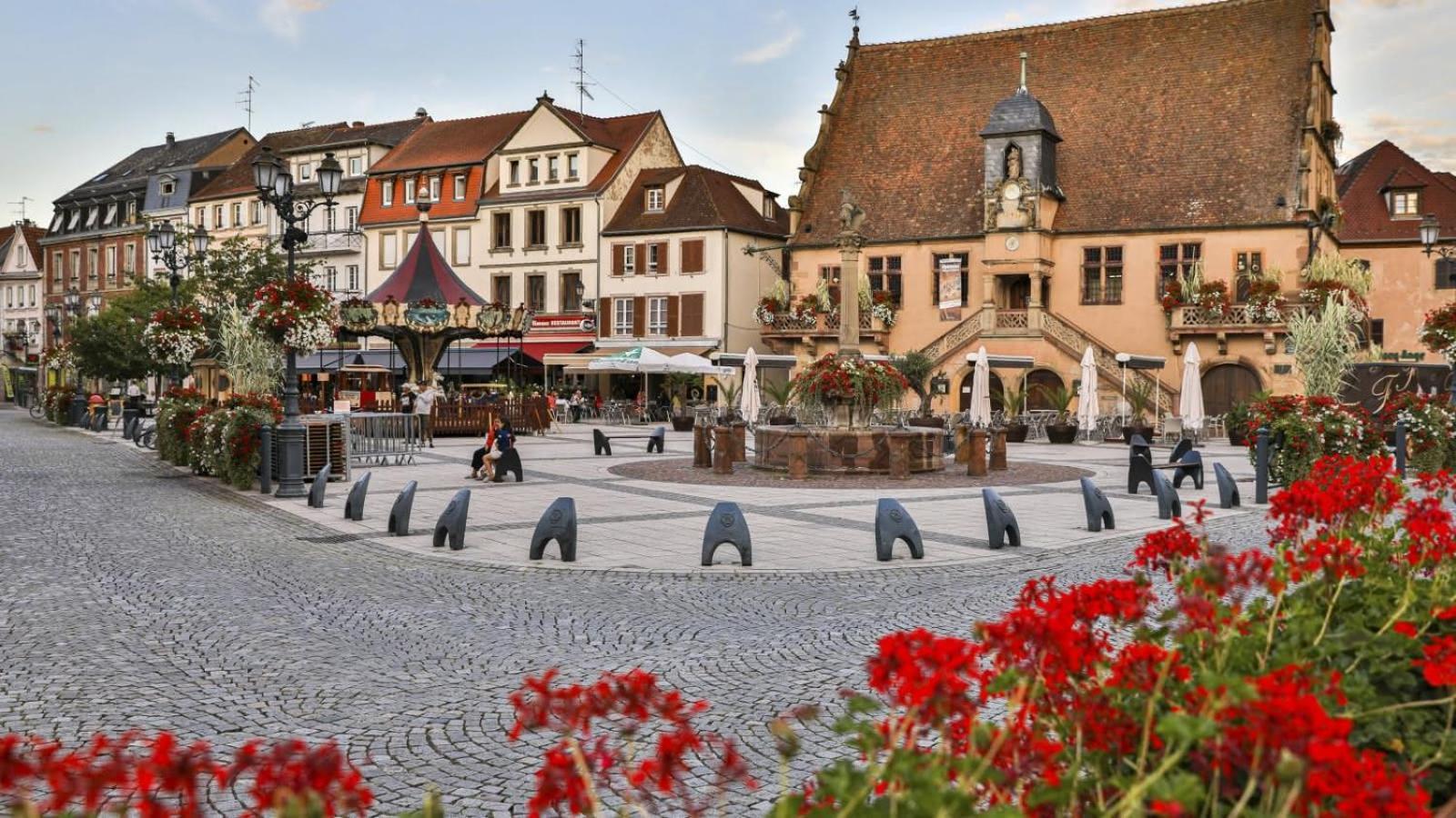 Cosy A Calme, Centre-ville Et Acces Strasbourg Apartment